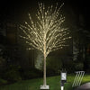 Load image into Gallery viewer, 6ft Lighted Indoor &amp; Outdoor Birch Tree-7