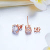 Load image into Gallery viewer, 1 Carat Created Diamond Stud Earrings 925 Sterling Silver Rose Gold Plated  XFE8