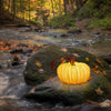 Load image into Gallery viewer, Indoor &amp; Outdoor Pumpkin Lantern-1