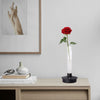 Load image into Gallery viewer, Minimalist Glass Vase lamp-4