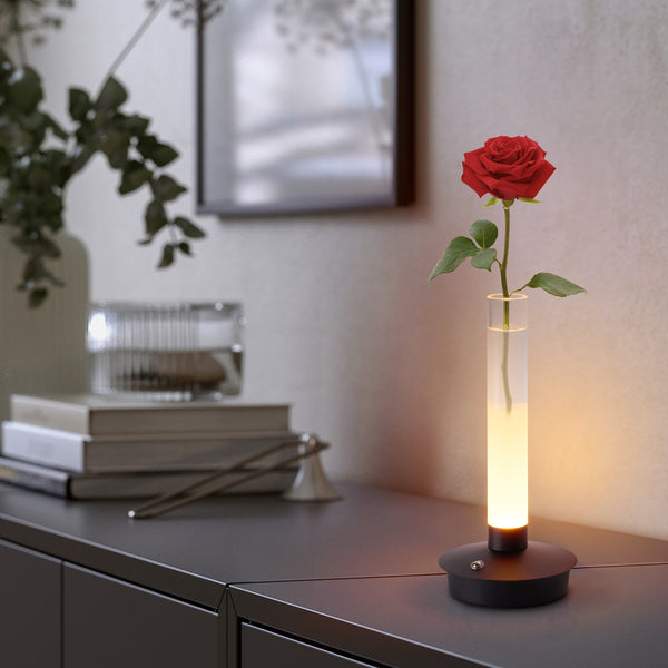 Minimalist Glass Vase lamp-0