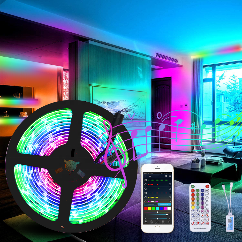 WS2811 RGBIC Music 12V WA2811 Pixel LED Strip Light with Wireless Remote