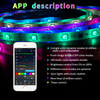 Load image into Gallery viewer, 2021 New Wifi Music Sync Dream Color LED 20M Smart Strip Light