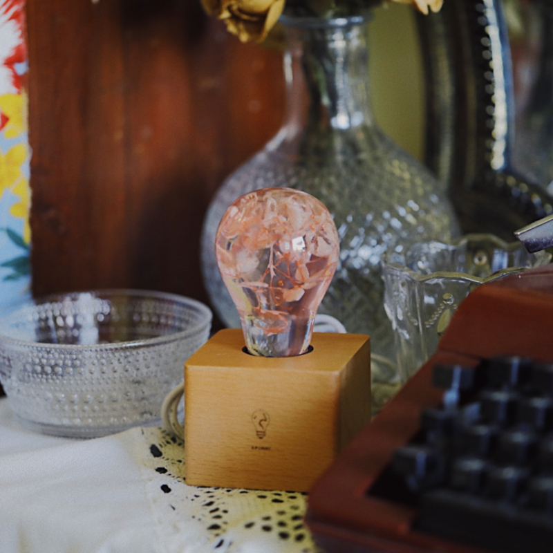 EP LIGHT Gift Set - 3-Pack Flower Bulbs