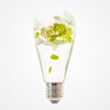 Load image into Gallery viewer, Table Lamp - White Hydrangea