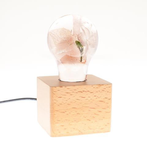 Wood light base with screw socket