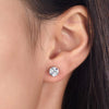 Load image into Gallery viewer, 1 Carat Created Diamond Stud Earrings 925 Sterling Silver  XFE8114