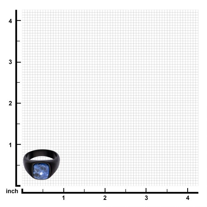 Black Plated with Polished Sodalite Signet  Ring