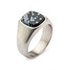 Load image into Gallery viewer, Steel with Polished Snowflakes Signet  Ring