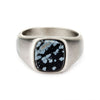 Load image into Gallery viewer, Steel with Polished Snowflakes Signet  Ring