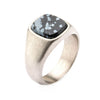 Load image into Gallery viewer, Steel with Polished Snowflakes Signet  Ring