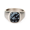 Load image into Gallery viewer, Steel with Polished Snowflakes Signet  Ring