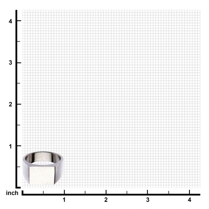 Steel & Engravable Polished Ring