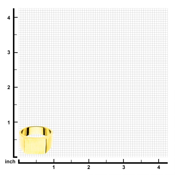 Steel & Engravable Polished Ring