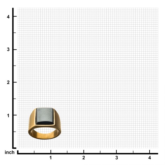 Stainless Steel Matte Gold Plated Signet Rings with Polished Hematite