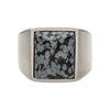 Load image into Gallery viewer, Stainless Steel  in Matte Finished Signet Rings with Polished Snowflakes
