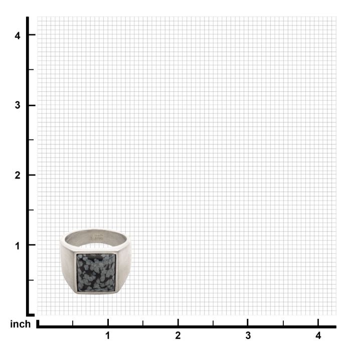 Stainless Steel  in Matte Finished Signet Rings with Polished Snowflakes