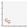 Load image into Gallery viewer, 9mm/5mm Inox Jewelry Rose Gold Plated Huggies Earrings