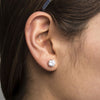 Load image into Gallery viewer, Rose Gold Plated Steel with Clear CZ Stud Earrings (Unisex)