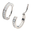 Load image into Gallery viewer, Titanium with Prong Set Clear AAA CZ 2.5mm Thick Huggie Earrings